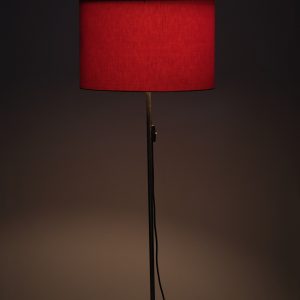 Raak Amsterdam  adjustable  Floor lamp  1960s